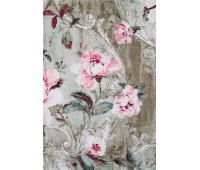 Cotonelo Regency A 25 Cotonelo Regency A 25