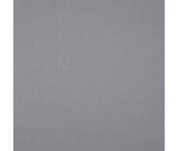 332 Blossom 23 Feather Shark 332 Blossom 23 Feather Shark