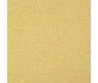 364 Shanelly 24 Kistiano Sunflower 364 Shanelly 24 Kistiano Sunflower