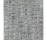 364 Shanelly 49 Shanelly Shark 364 Shanelly 49 Shanelly Shark