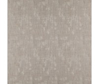 Littoral 14 Foreland Fossil Littoral 14 Foreland Fossil