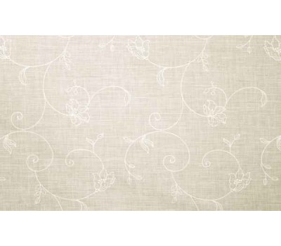 R 428 PLOSE 3679/1 CANDIDO