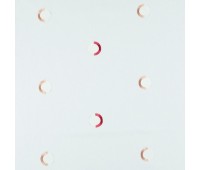 305 Sevilla 20 Morella 3 305 Sevilla 20 Morella 3