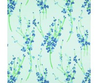 305 Sevilla 9 Hellin 1 305 Sevilla 9 Hellin 1