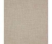 Grain 36 Massive Fossil Grain 36 Massive Fossil