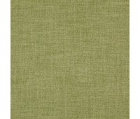 Grain 39 Massive Kiwi Grain 39 Massive Kiwi