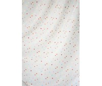 Narnia Confetti 1 Narnia Confetti 1