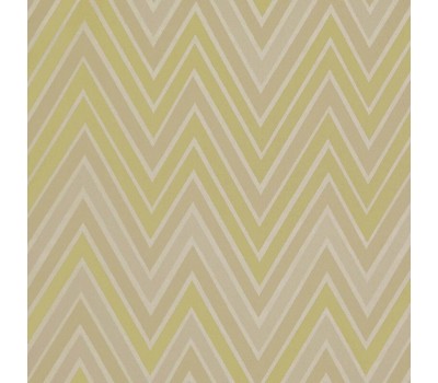 Montello Willow