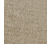 346 Truffle 19 Truffle Mushroom 346 Truffle 19 Truffle Mushroom