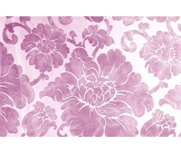 Acquarello 01 Acquarello 01