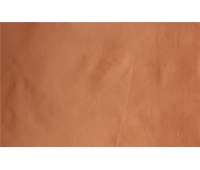 Acquarello 17 Acquarello 17