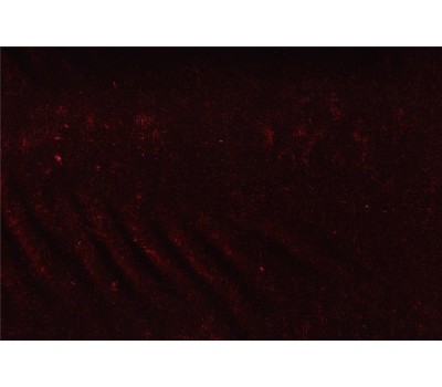 Ткань Garda 18 на отрез Ткань Garda 18 на отрез