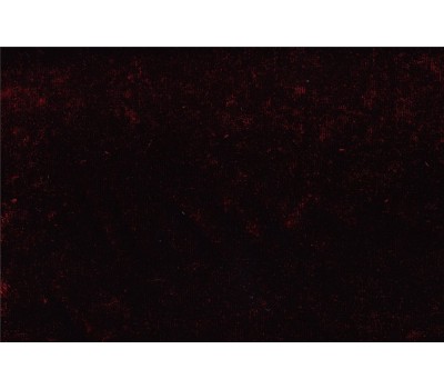 Ткань Garda 19 на отрез