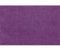 Toledo 860 Toledo 860