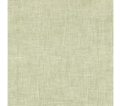 Ткань Isron Plain 176 на отрез