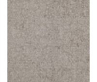 Light Up 41 Light Up Otter Light Up 41 Light Up Otter