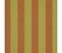 338 Candy Stripes 29 Elvan Star 338 Candy Stripes 29 Elvan Star