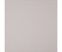 338 Candy Stripes 43 Flute Iris 338 Candy Stripes 43 Flute Iris