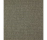 338 Candy Stripes 54 Flute Pampas 338 Candy Stripes 54 Flute Pampas