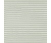 338 Candy Stripes 63 Flute Spinach 338 Candy Stripes 63 Flute Spinach