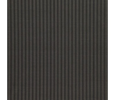 Ткань 338 Candy Stripes 88 Slate Otter на отрез Ткань 338 Candy Stripes 88 Slate Otter на отрез