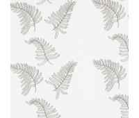 304 Melianta 18 Riola 4 304 Melianta 18 Riola 4