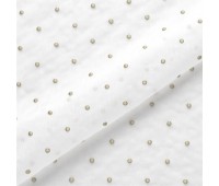 Sirius 021 Sirius 021