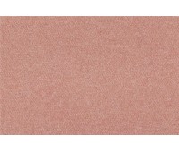 Soho 19 DSS Soho 19 DSS