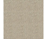 317 Alto 35 PREZZO Funghi 317 Alto 35 PREZZO Funghi