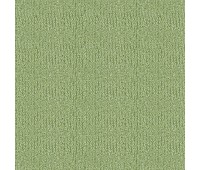 317 Alto 38 PREZZO Oasis 317 Alto 38 PREZZO Oasis