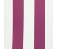 321 Amilly 2 Amilly Azalea 321 Amilly 2 Amilly Azalea