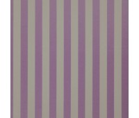 321 Amilly 74 Vira Plum 321 Amilly 74 Vira Plum