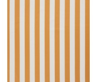 321 Amilly 76 Vira Pumpkin 321 Amilly 76 Vira Pumpkin