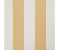 321 Amilly 8 Amilly Honey 321 Amilly 8 Amilly Honey