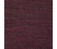 359 Buckle 24 Evade Lotus 359 Buckle 24 Evade Lotus