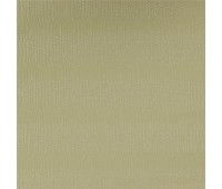 322 Avy 20 Avy Fern 322 Avy 20 Avy Fern