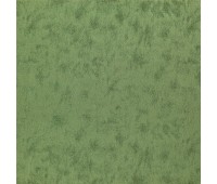 322 Avy 70 Verrie Cactus 322 Avy 70 Verrie Cactus