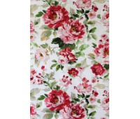 Twister Canterbury A 01