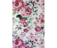 Twister Canterbury A 77