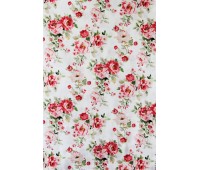 Twister Canterbury C 01