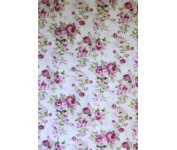 Twister Canterbury C 25