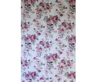 Twister Canterbury C 77