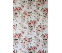 Twister Canterbury C 95