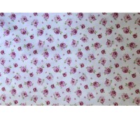 Twister Canterbury D 25