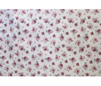 Twister Canterbury D 77