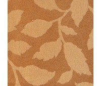 306 Toledo 27 Pinto 5 306 Toledo 27 Pinto 5