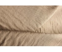 Arnedo 26 Maribella Abalone Arnedo 26 Maribella Abalone