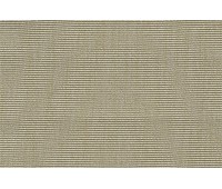 DayNight Night Night 06 DayNight Night Night 06