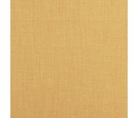 313 Novello 1 Lioni Amber 313 Novello 1 Lioni Amber