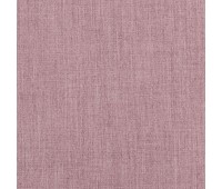 313 Novello 11 Lioni Lotus 313 Novello 11 Lioni Lotus